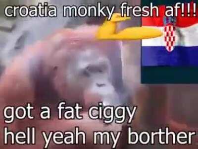 We accept all MONKE but Croatia monky is epic ooh aaah