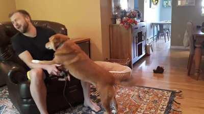 Dog slaps owner in the face