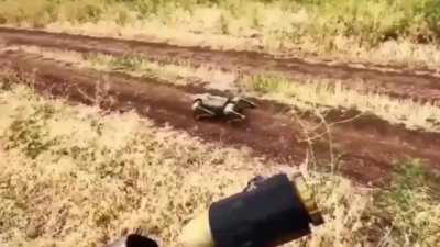 Ukrainian soldiers are using robotic dogs in combat zones.

The small robots play an important role in ground reconnaissance, allowing the troops to advance knowing what lies ahead.