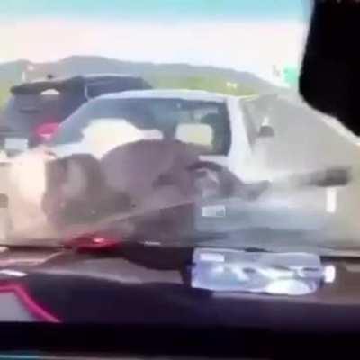 Brutal car crash