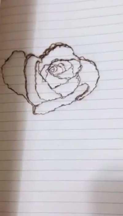 This Rose design on burnt pages