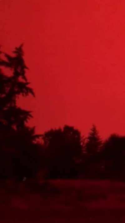 The red sky in Salem Oregon