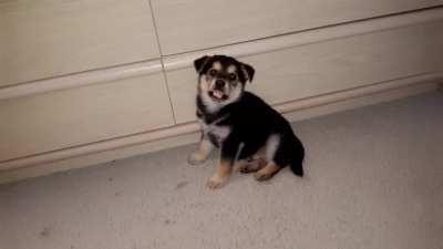 6 years ago today, this little boy did his first mlem