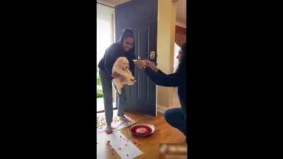 Indian family brings home a pupper with all the rituals.