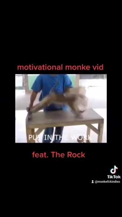 Monke feat. The Rock