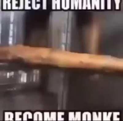 Reject humanity return to Monke