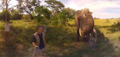 An elephant jokes around with the tour guide by taking his hat then returns it.