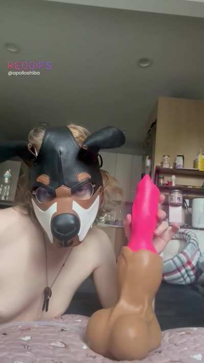 puppy got a brand new toy inflatable knot, fuckable sheath 