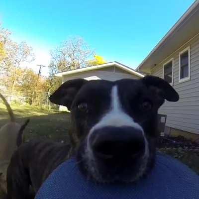 The only reason we have a GoPro...