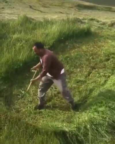 The way this man cuts through the long grass