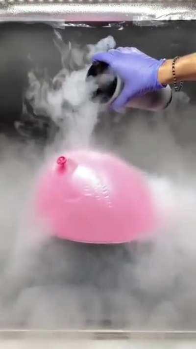 Liquid Nitrogen on a balloon. This is a demonstration of the ideal gas law. Balloons placed in liquid nitrogen shrink because the decreasing temperature of the gas inside the balloons causes the volume to decrease.