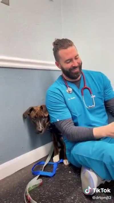 Heartbreaking how scared this poor pup is. The doctor is a perfection at handling him