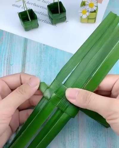 Making Tiny Baskets Using Leaves