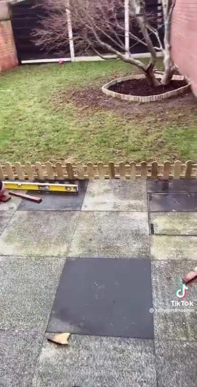 Dog refuses to be fenced in by ridiculously low fence.