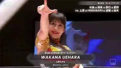 wakana uehara 