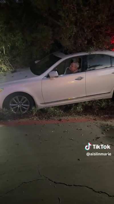 Drunk driver can’t comprehend he lodged his car in a bush 