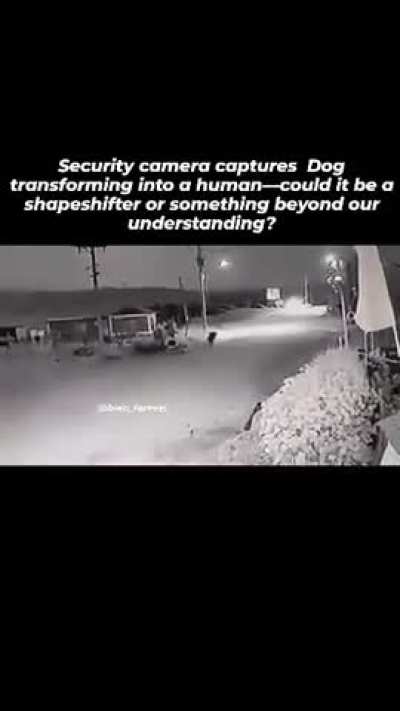 Security camera captures Dog transforming into a human 