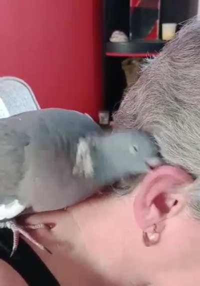 The most efficient way to clean your ears !