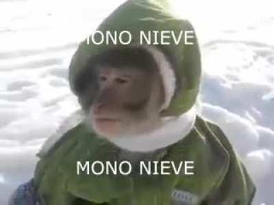 MONO NIEVE