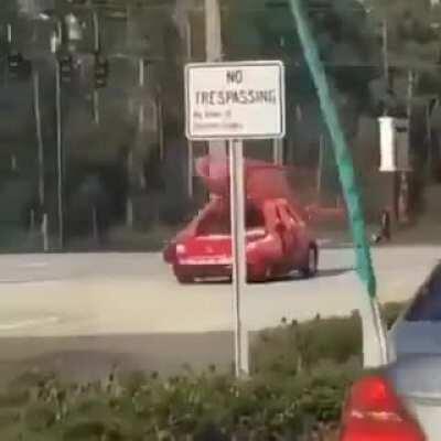 SHRIMP CAR