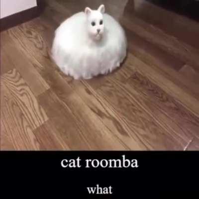 catroomba