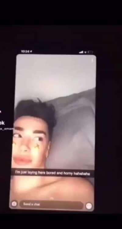 James Charles had been sending suggestive texts to minors allegedly (all victims involved are 16 years old). In the span of 6 months, this is the 4th victim that alleged JC of texting him inappropriately.