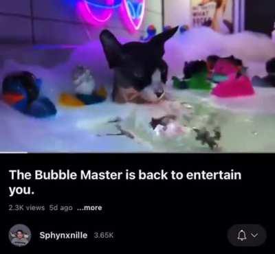 Bubble Master Wunk