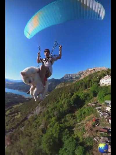 Man flies with his dog