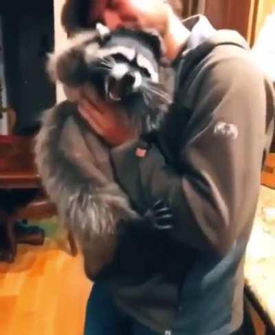 This man and his pet raccoon