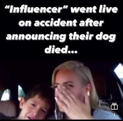 “Influencer” went life accidentally announcing their dog died