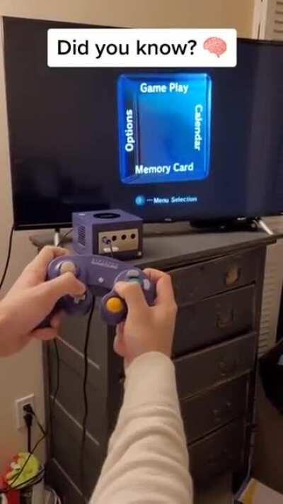 Secret GameCube menu!