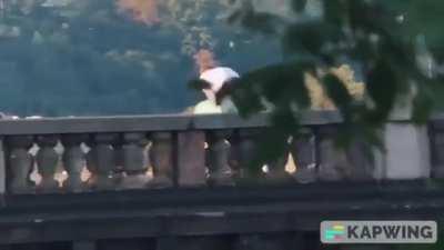 the way he climbs a bridge and then casually dives back into the water