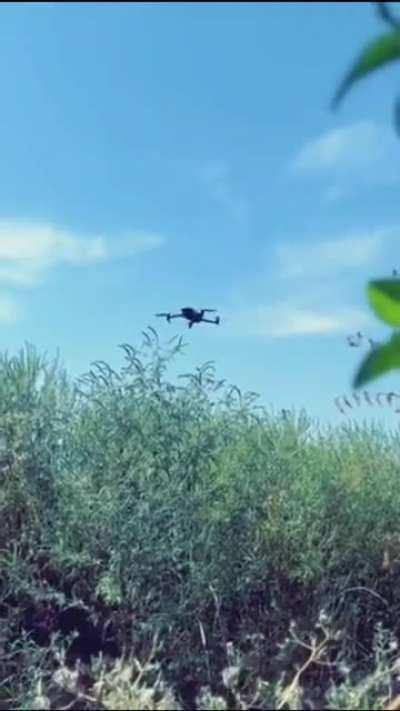 Ukrainian soldier takes down russian drone with a stick