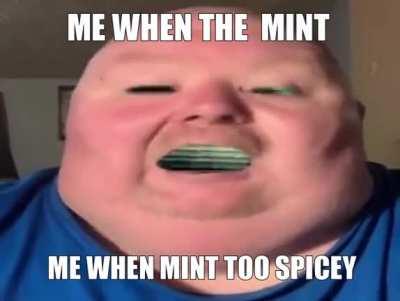 Wheb minty to spoingus