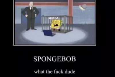 spongboy