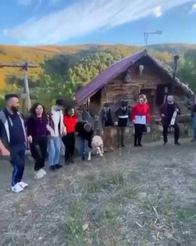 Doggo joins the folk dance