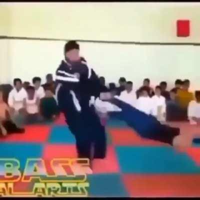 I wonder what kind of martial art this is