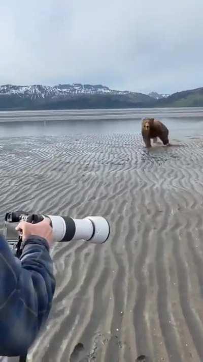 Photographers intimidate an approaching bear