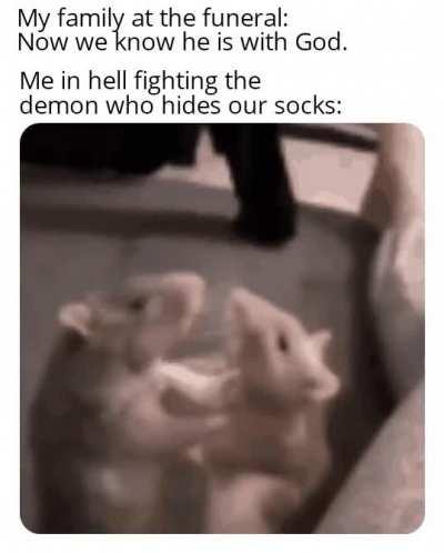 Hamster Death Meme
