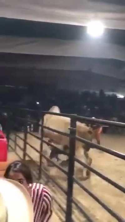 To ride a bull