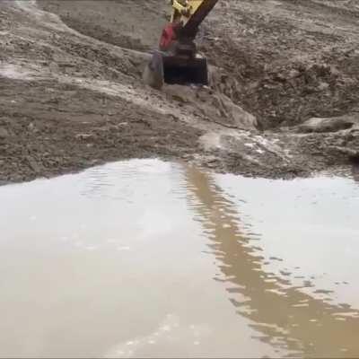 Excavator Operator saves Deer stuck in mud hole