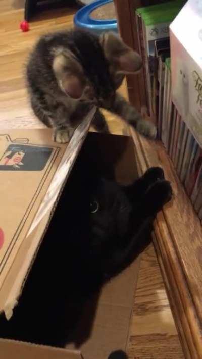 Fighting over who gets the empty box .