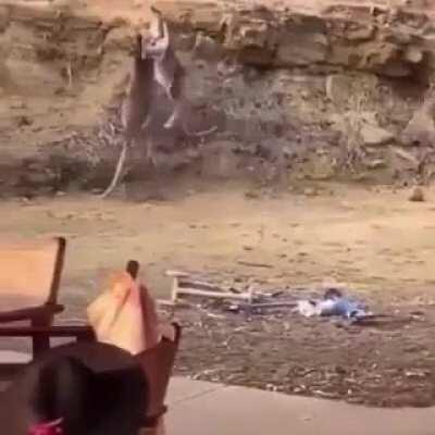 HMFT after I fight with a kangaroo who’s much better at combat than me