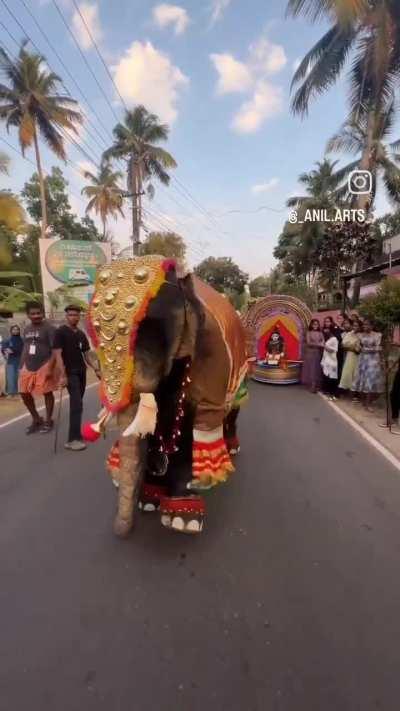 Zyada kuch nahi, it's just an Elephant dance