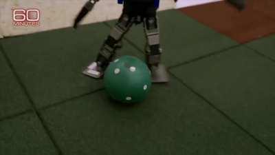 Robots teach themselves how to play soccer