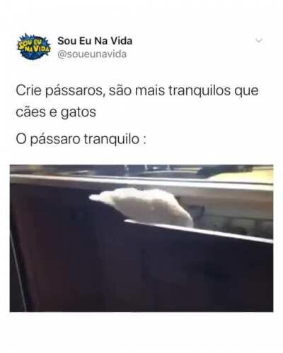 O bicho ta só o ódio encarnado