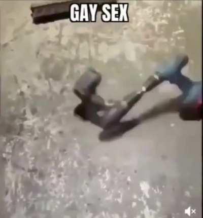 Gay shrex