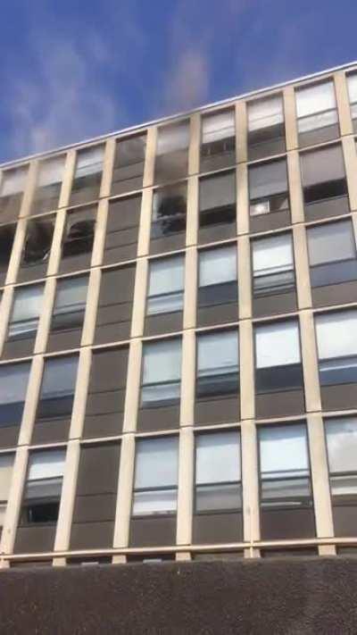 Kitty Trapped in Burning Building Jumps from 5th Floor Window