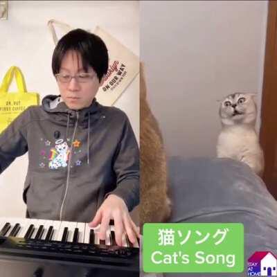 Pianist accompanies 'Cat's Song'.