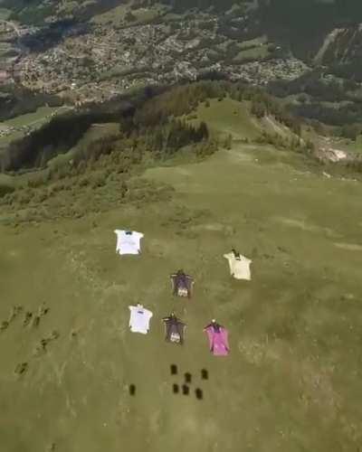 Group taking flight in their wingsuits